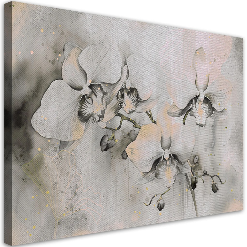 Gario Vászonkép Absztrakt virágzó orchideák Méret: 100 x 70 cm