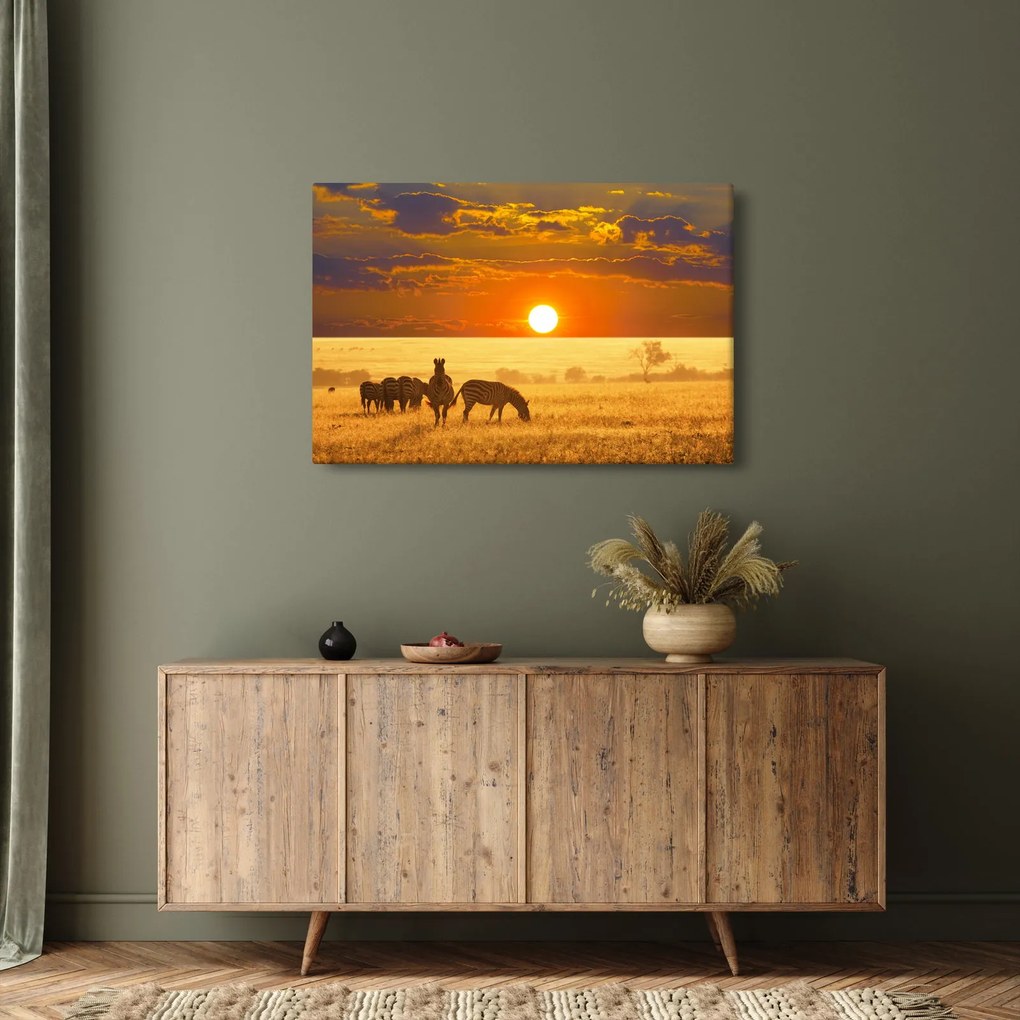 Kép - Zebrák naplementével (90x60 cm)