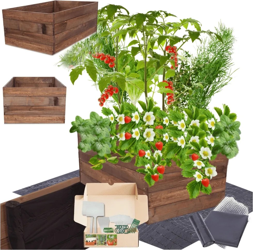 Ágyás magasított zöldséges fa virágtartó impregnáló 36x80x60