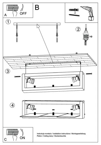 Sollux SL.0078 - Mennyezeti lámpa FENIKS 2 2xE27/60W/230V fehér