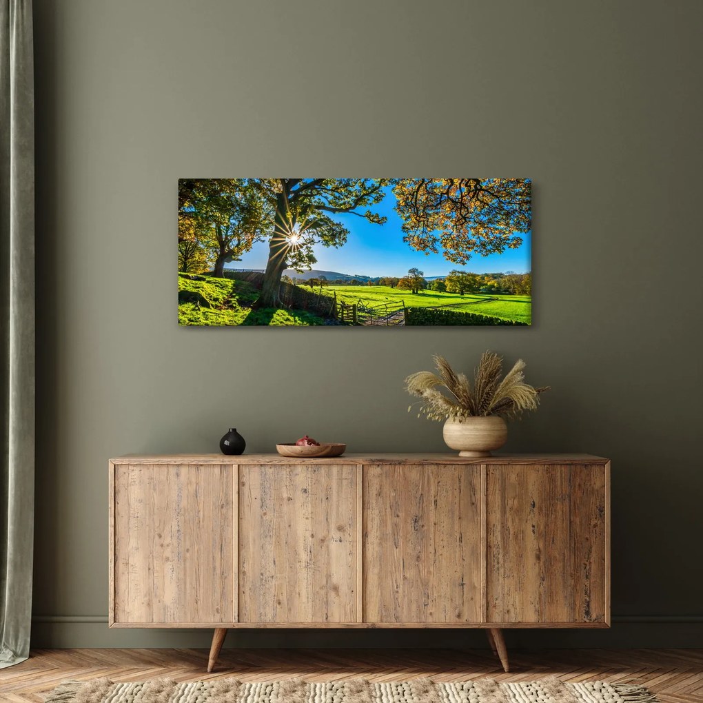 Kép - mező, kilátás (120x50 cm)