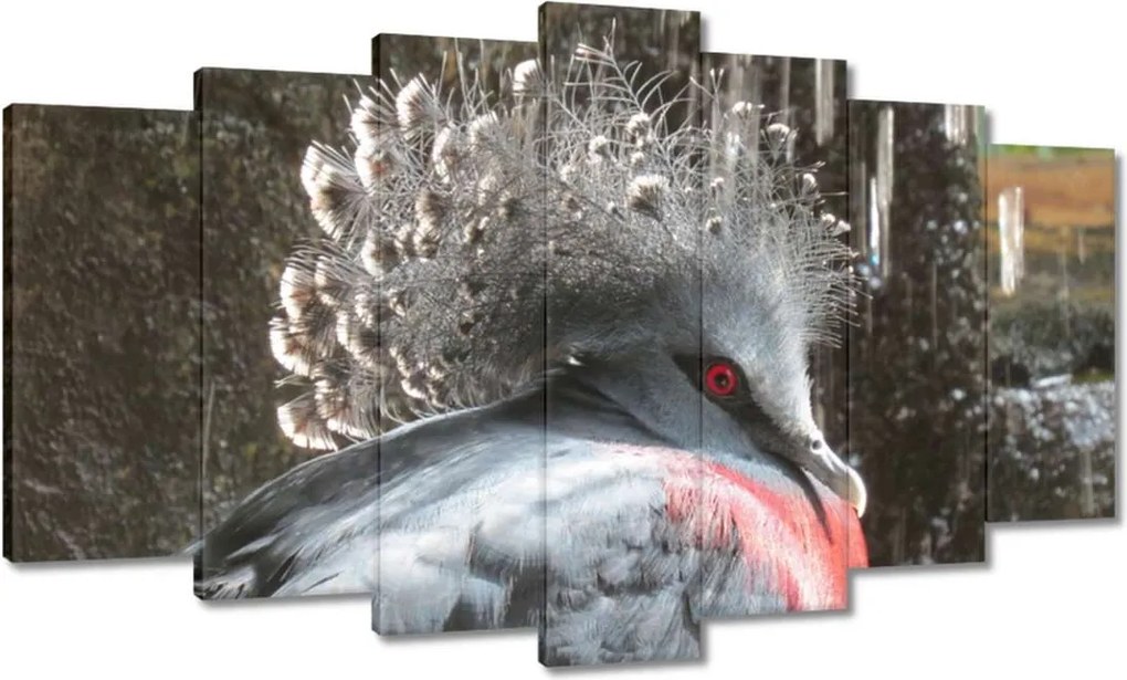 Vászonkép 140x80 Színes madár