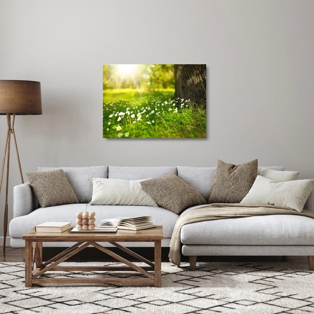 Tisztás és a virágok képe (üvegen) (70x50 cm)