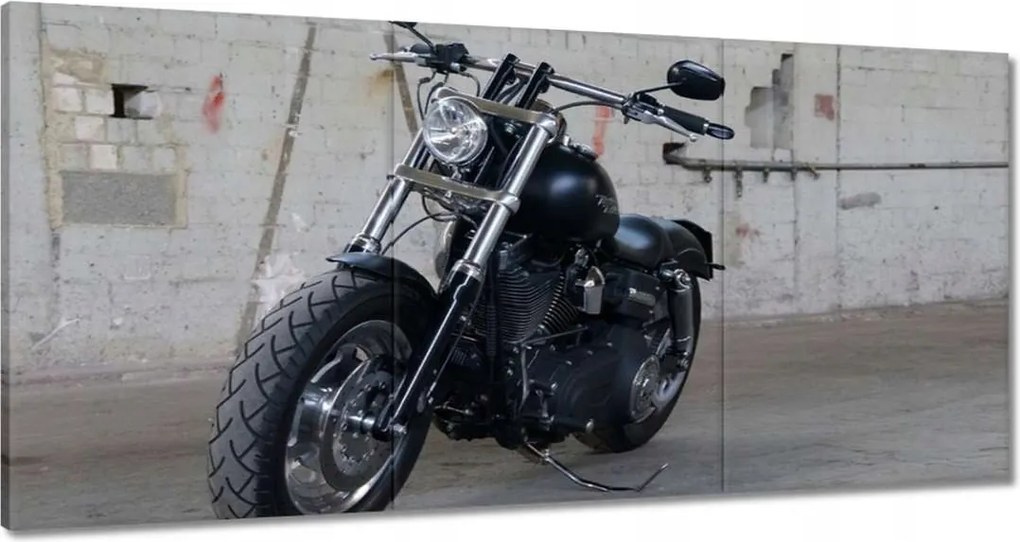 Festmények 120x60 Harley Davidson