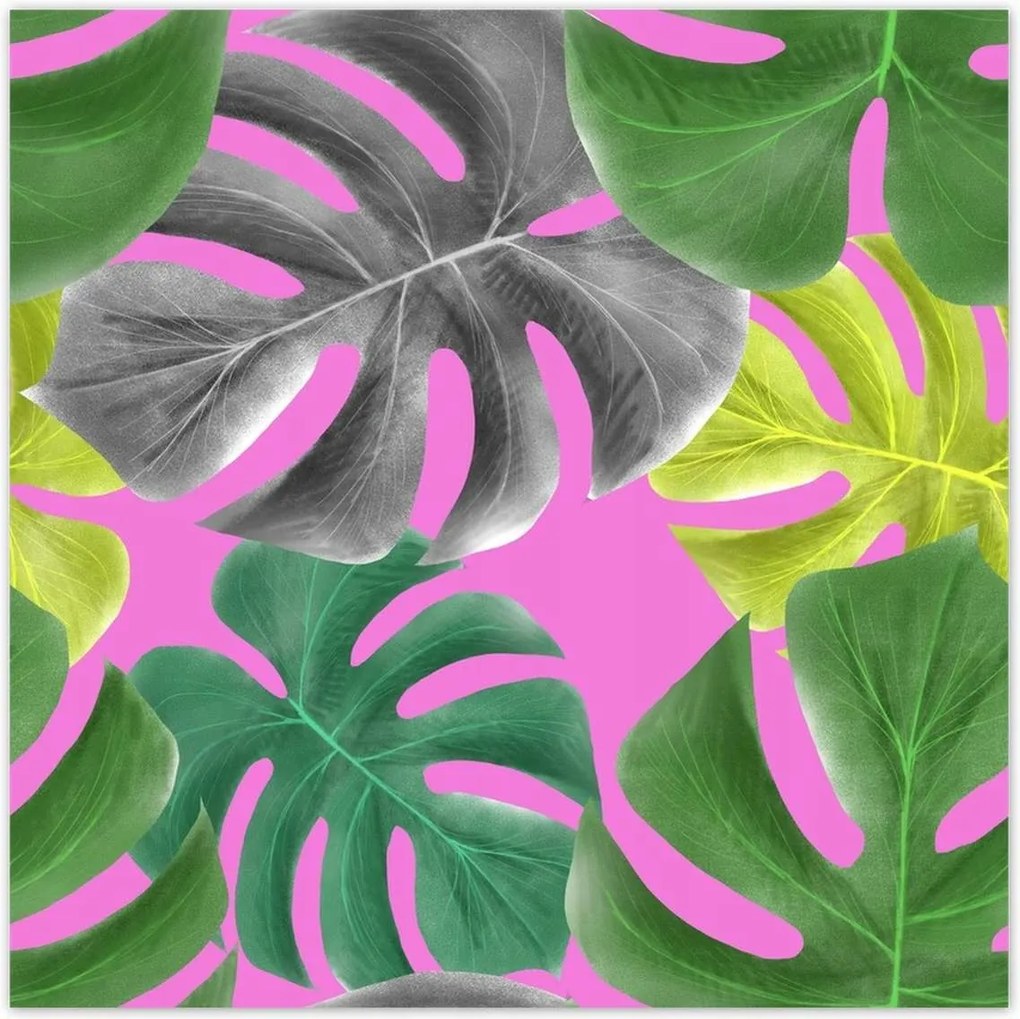 Poszterek 100x100 Levelek Monstery