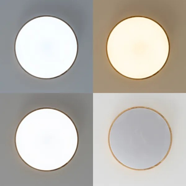 Brilagi - LED dimmelhető mennyezeti lámpatest PINE LED/60W/230V + távirányító