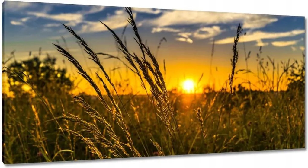 Vászonkép 115x55 Naplemente a füvek között