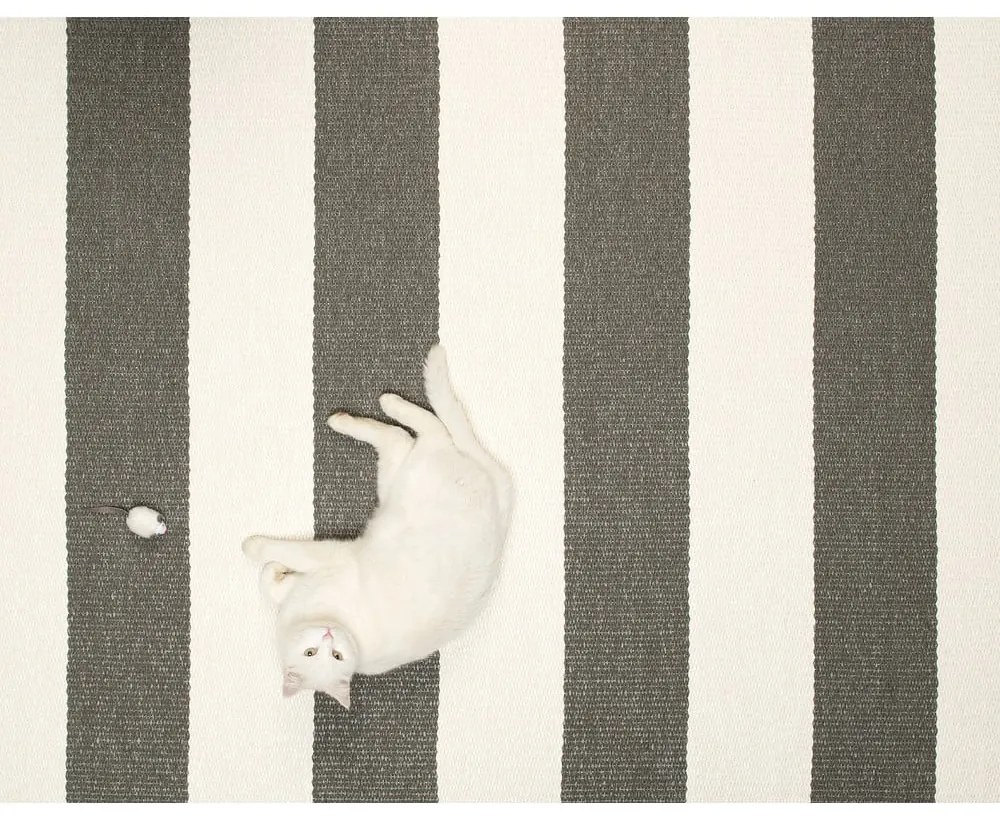 Antracitszürke-krémszínű kültéri-beltéri futószőnyeg 70x225 cm Bob Charcoal Linen – Pappelina