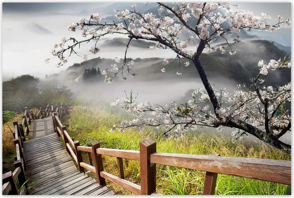 Poszterek 120x80 Japán Virágzó cseresznye