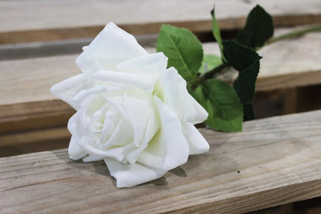 Fehér mű virágzó rózsa 74cm