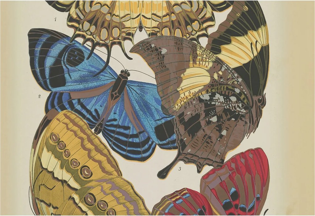 Divatos Flizelin Fali Tapéta Furnér Pillangók inspiráció 152x104 Ragasztó