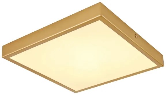 Globo 12382-15 - LED Mennyezeti lámpa TIBEY LED/15W/230V 25x25 cm