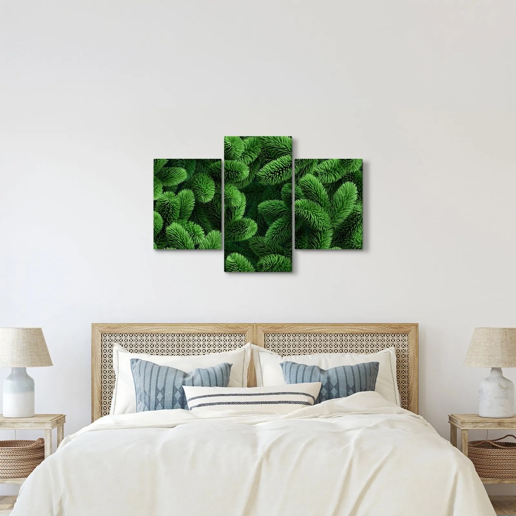Kép - Tűlevelű gallyak (90x60 cm)