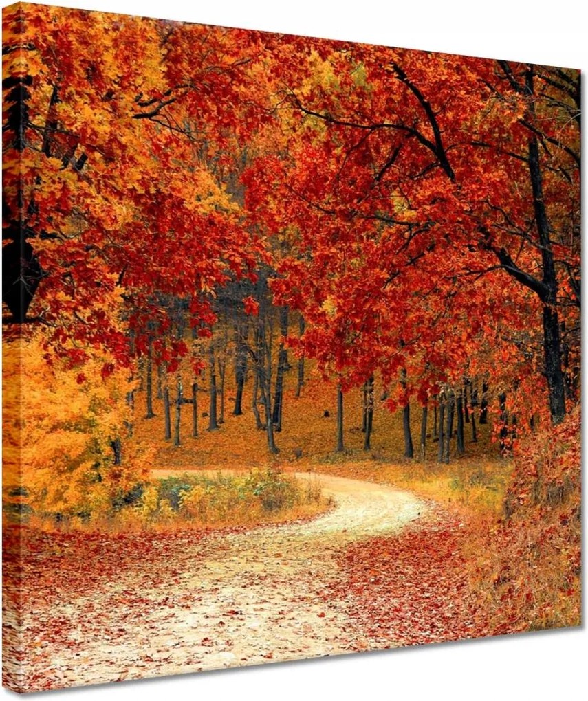 Festmények 30x30 Tájkép