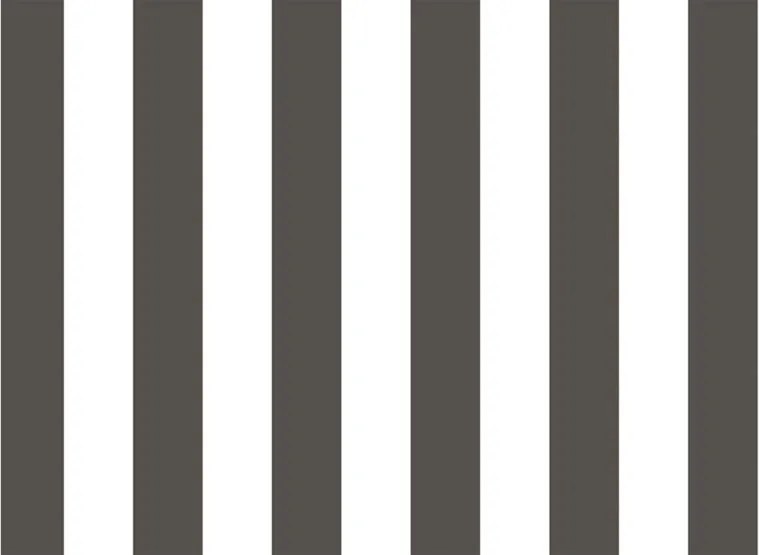 Parato Cristiana Masi Top Stripes Riga 2 fehér-fekete csíkos vlies tapéta – 38449