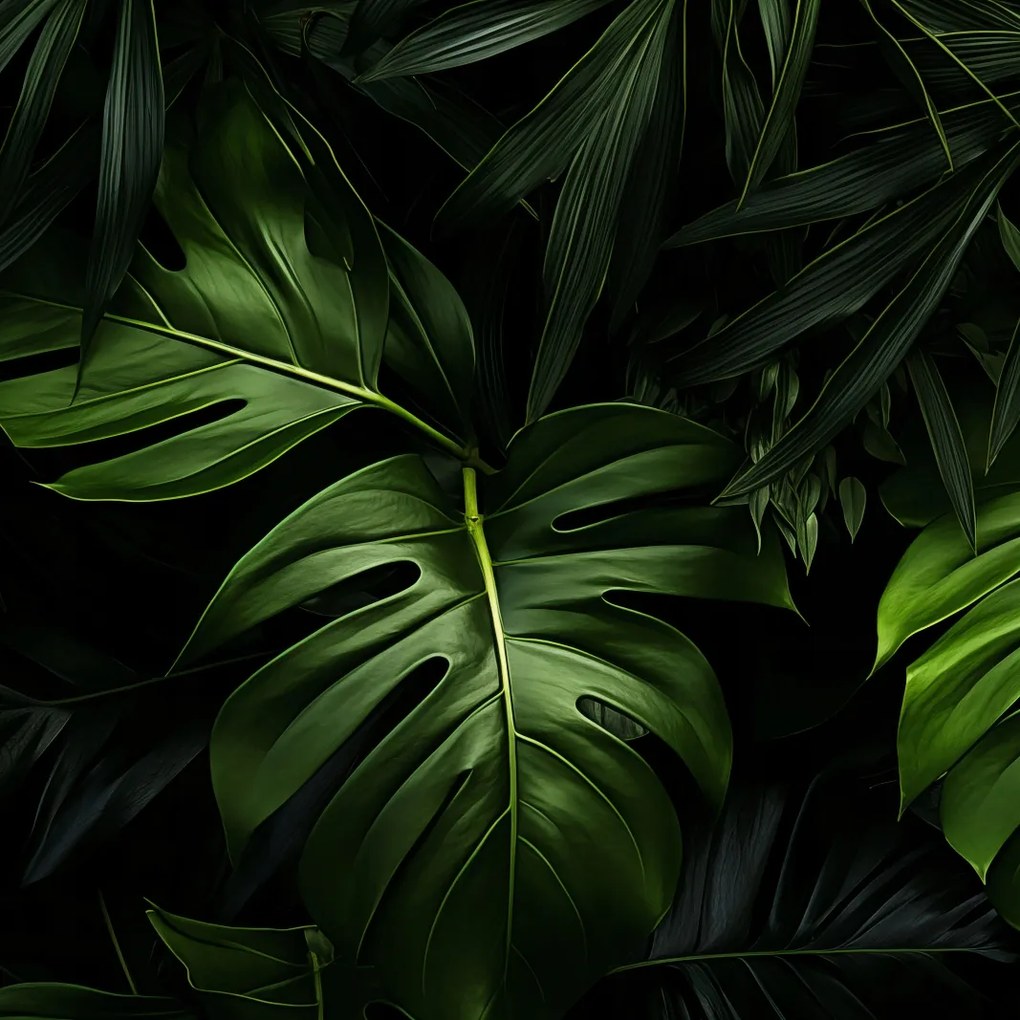 Poszter 90x90cm Zöld suttogás