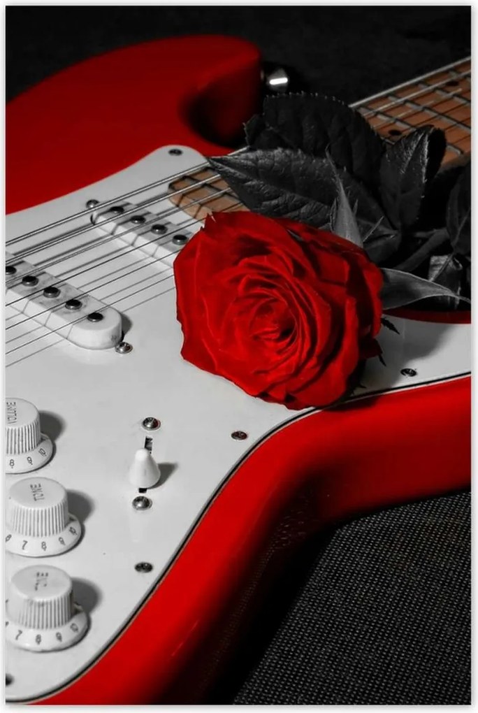 Poszterek 80x120 Rózsa Elektromos gitár