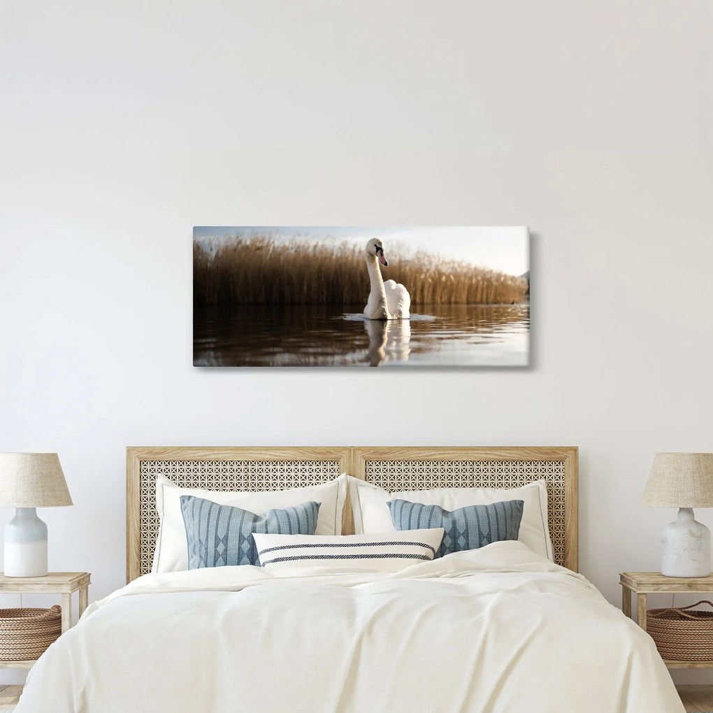 Hattyú képe (120x50 cm)