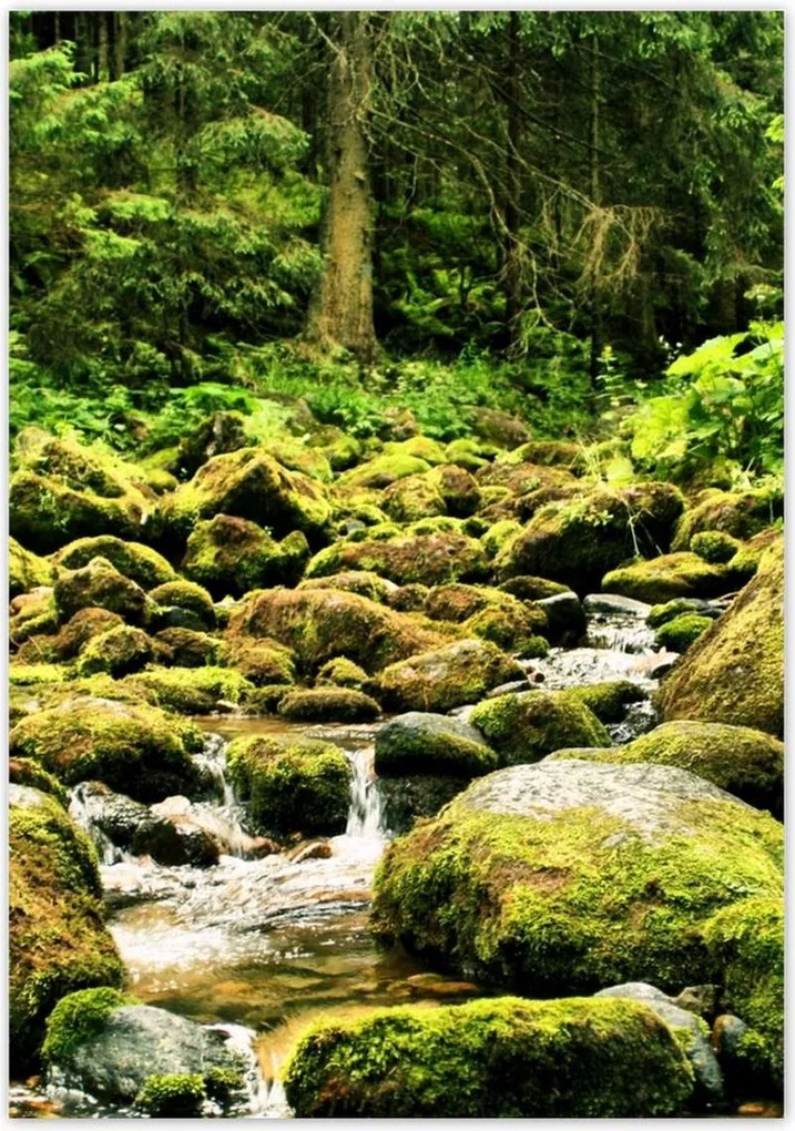 Poszterek 70x100 Tátra Lengyel hegyek Kilátás