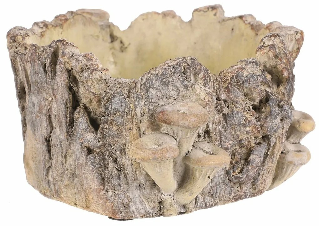 Beton burkolat - tusk with mushrooms, 18 x 14 x 9cm, 18 cm