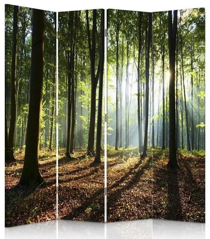 Gario Paraván Napsugarak az erdõben Méret: 145 x 170 cm, Kivitelezés: Forgó paraván 360°