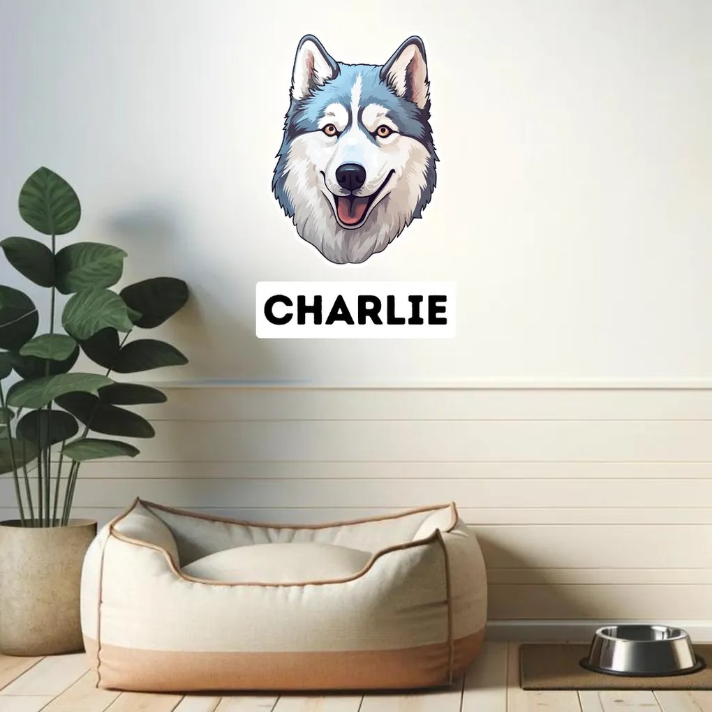 PIPPER. Matrica Husky Méret: 15cm