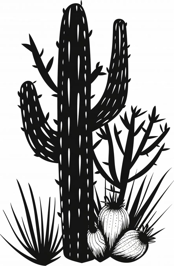 Poszter 50x70cm Kaktusz a karsztban