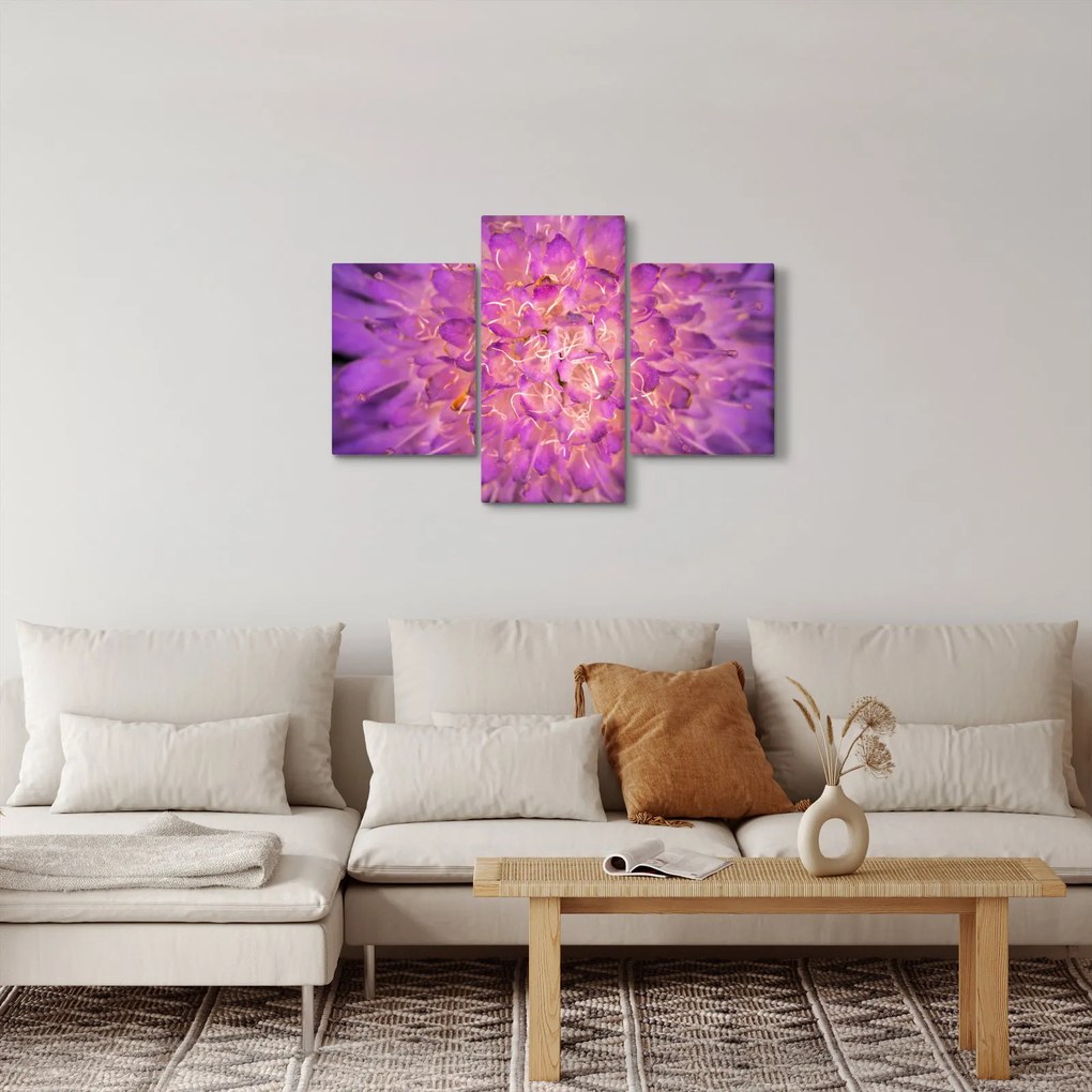 Részletes virágkép (90x60 cm)