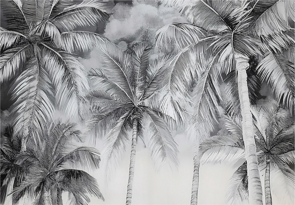 Fotótapéta Pálmafák Fekete-fehér Hálószoba Nappali Tapéta Flizelina 300x210