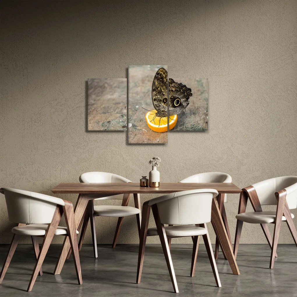 Pillangó képe (90x60 cm)