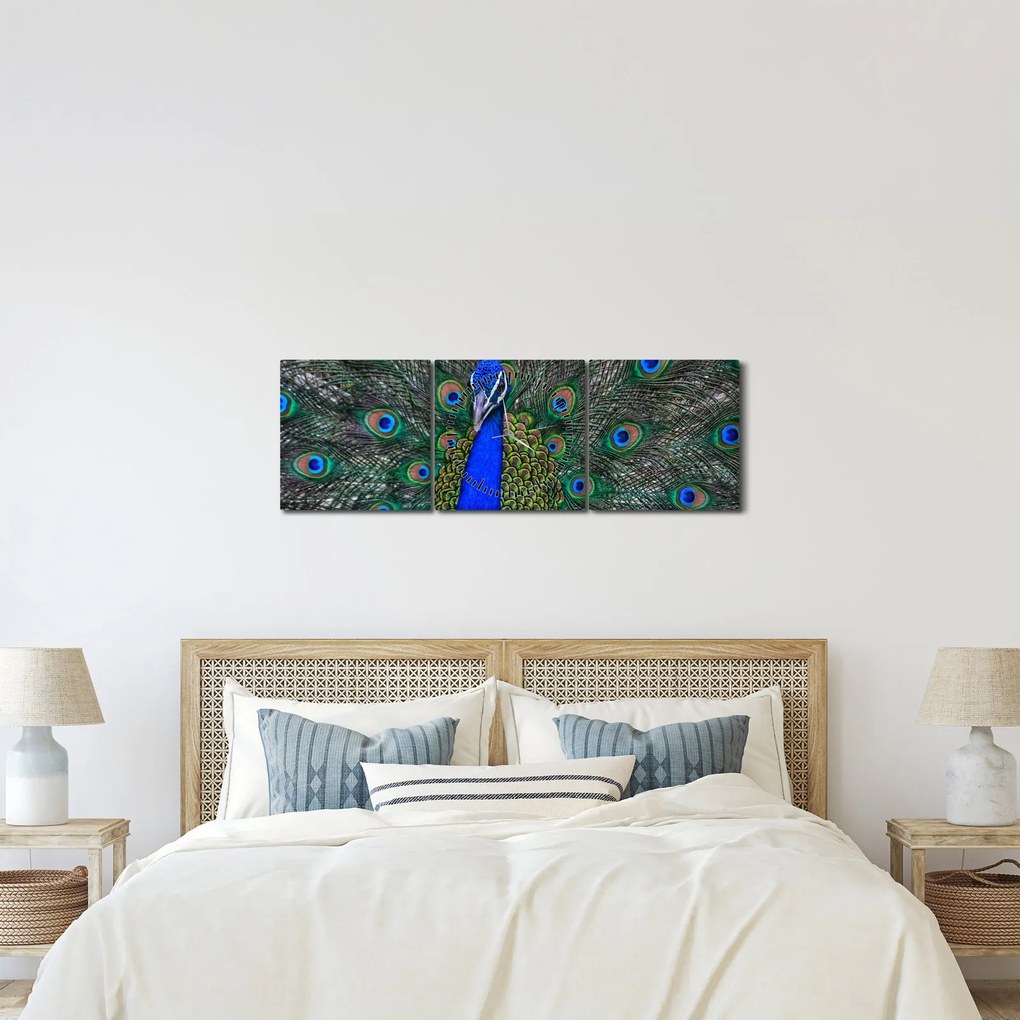Kép - Páva (órával) (90x30 cm)