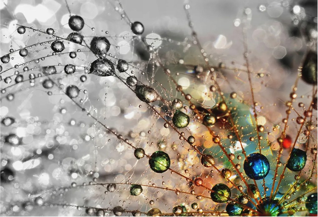 Flizelin tapéta Divatos 3D fali ragasztó harmat ékszerek 152x104 ragasztó