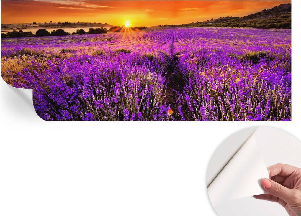Modern öntapadós fali fotótapéta Levendula nyugat 250x104 cm