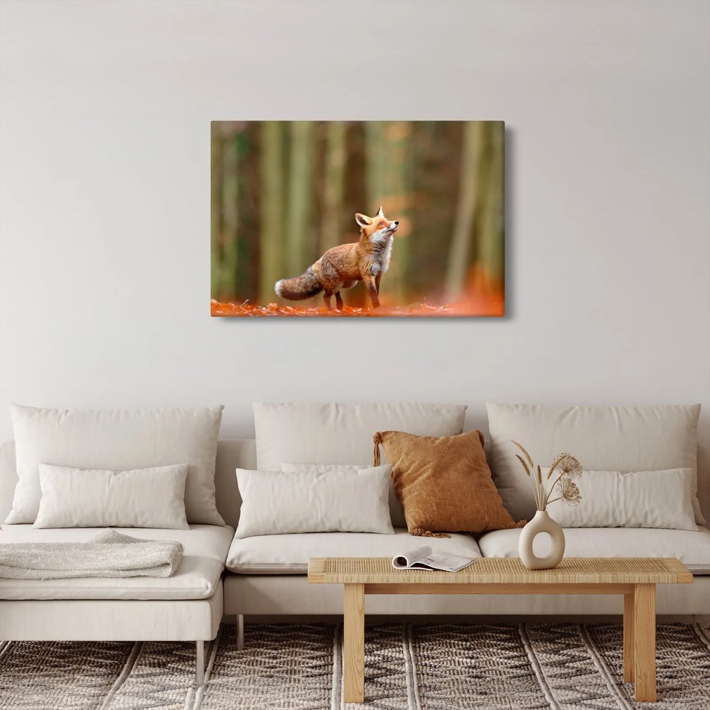 Kép - Róka (90x60 cm)