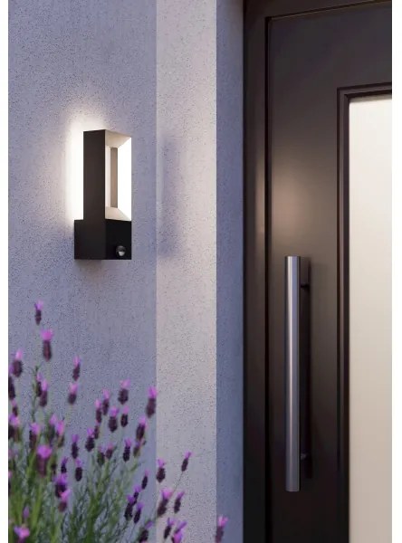 Eglo 98726 - LED Kültéri lámpa érzékelővel RIFORANO 2xLED/5W/230V IP44