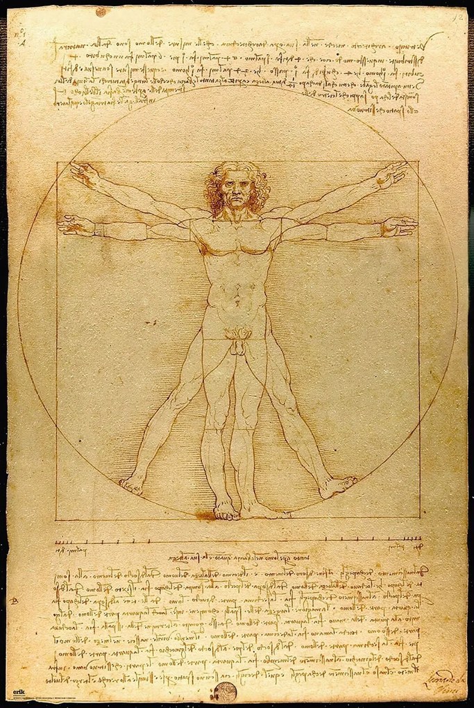 Leonardo da Vinci A vitruvius ember poszter fali poszter nappali poszter