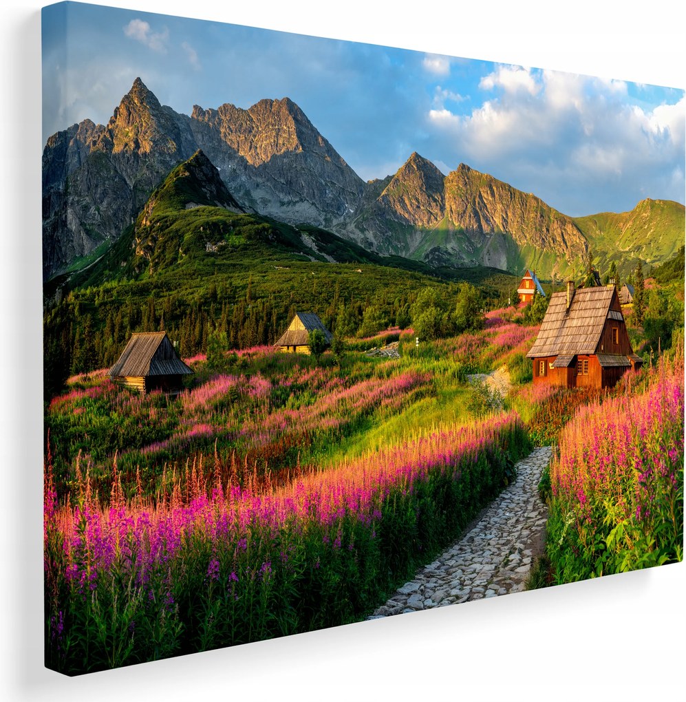 Vászonkép Tátra hegyek Zakopane kilátás a falra otthon 40x30 cm