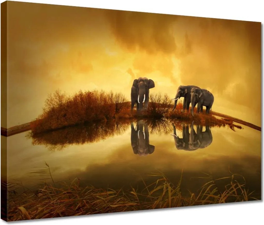 Vászonkép 40x30 Elefántok a vízparton