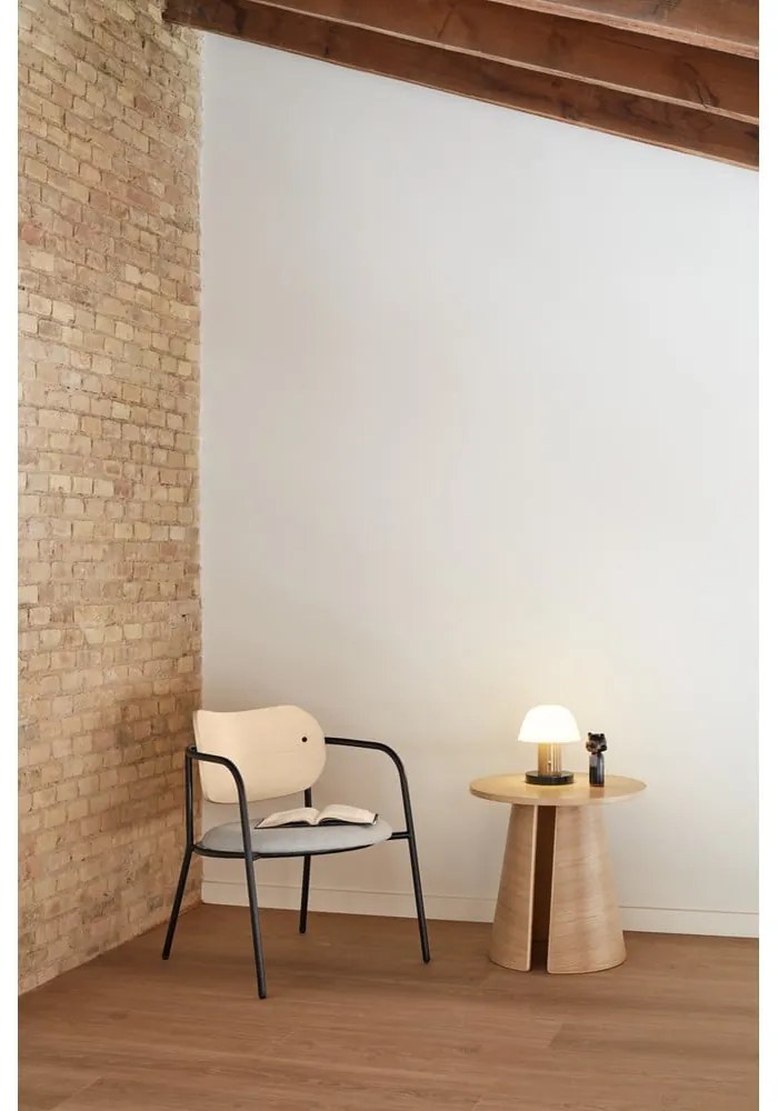 Világosszürke fotel kőrisfa dekorral Eclipse - Teulat