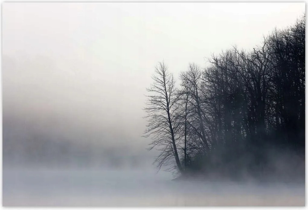 Poszterek 155x105 Ködös erdő Tél