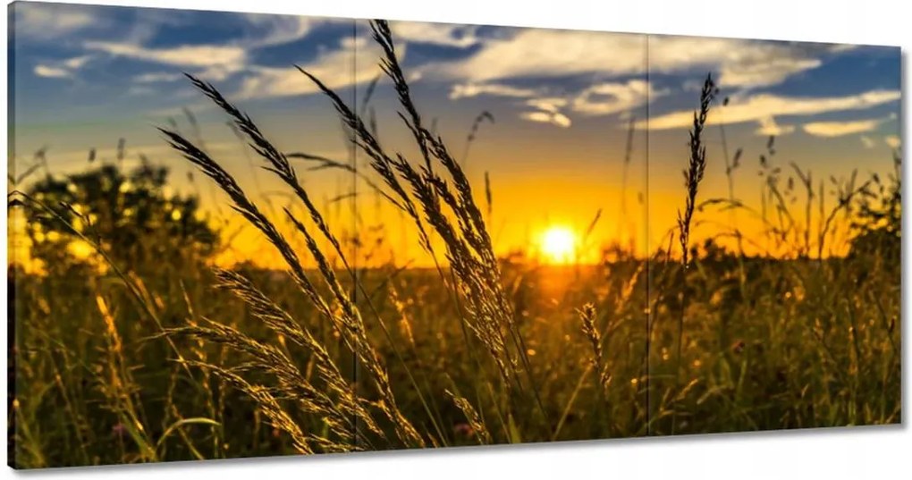 Vászonkép 120x60 Naplemente a füvek között