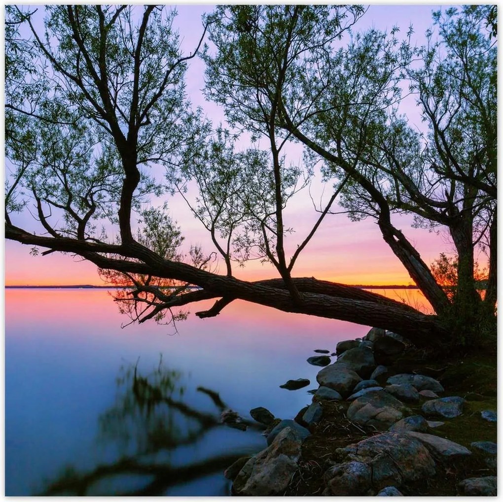 Poszterek 30x30 Sziklák Fa Tó