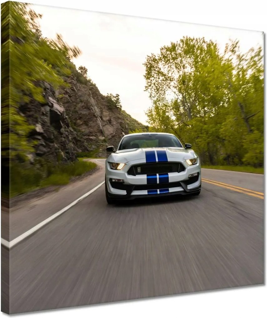 Vászonkép 30x30 Ford Mustang Usa autó