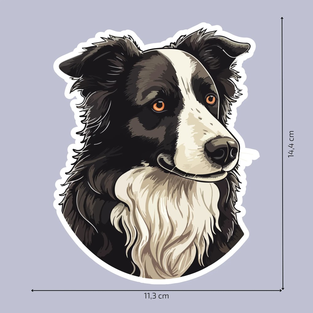 PIPPER. Matrica Border collie Méret: 15cm