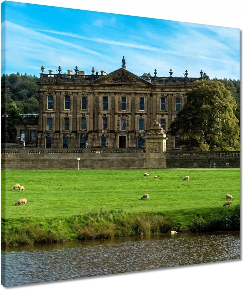 Vászonkép 50x50 Bárányok a gyepen