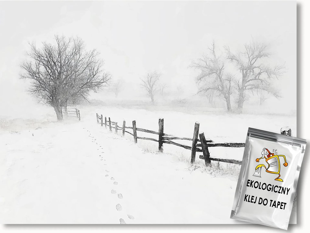 Fotótapéta Flizelina Tájkép Tél Hó Fagy Hófúvás Köd Nyom 300x210 ragasztó