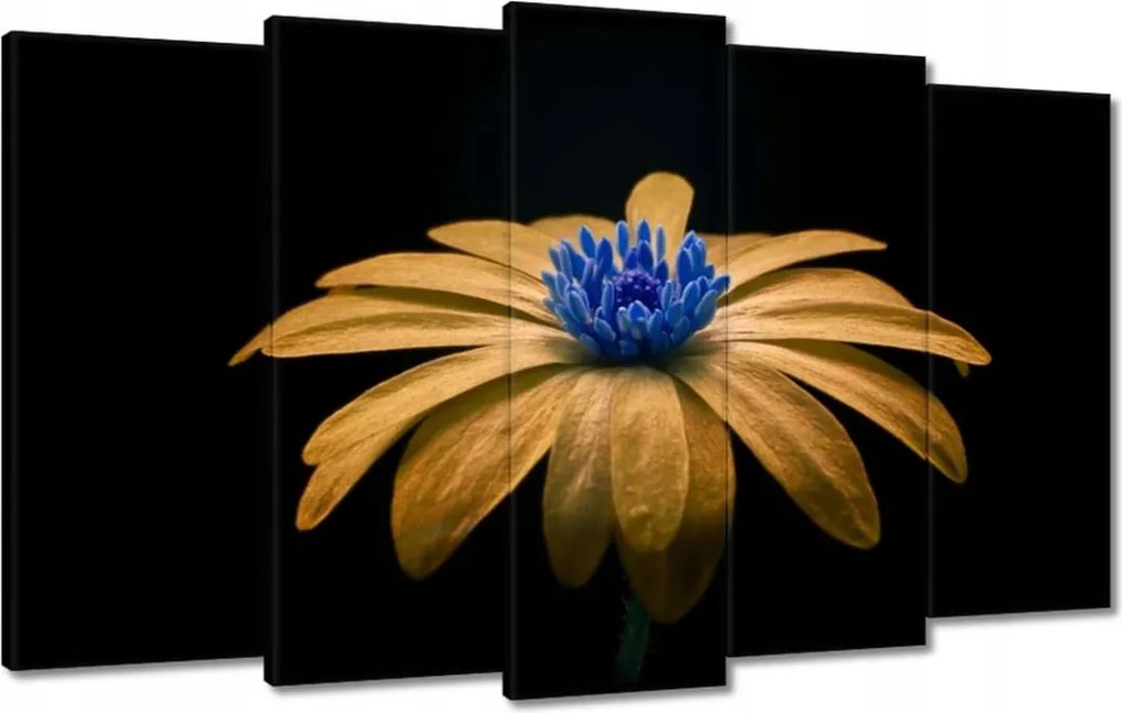 Vászonkép 100x60 Teavirág