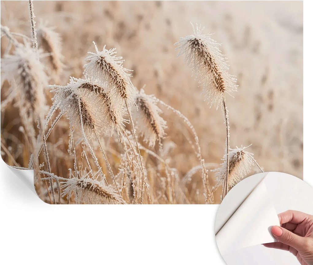 Öntapadós Dekoratív Fotótapéta Hálószobába Téli tájkép 104x70 cm