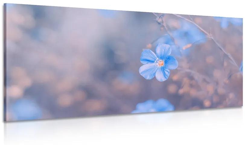 Kép kék virágok vintage háttéren