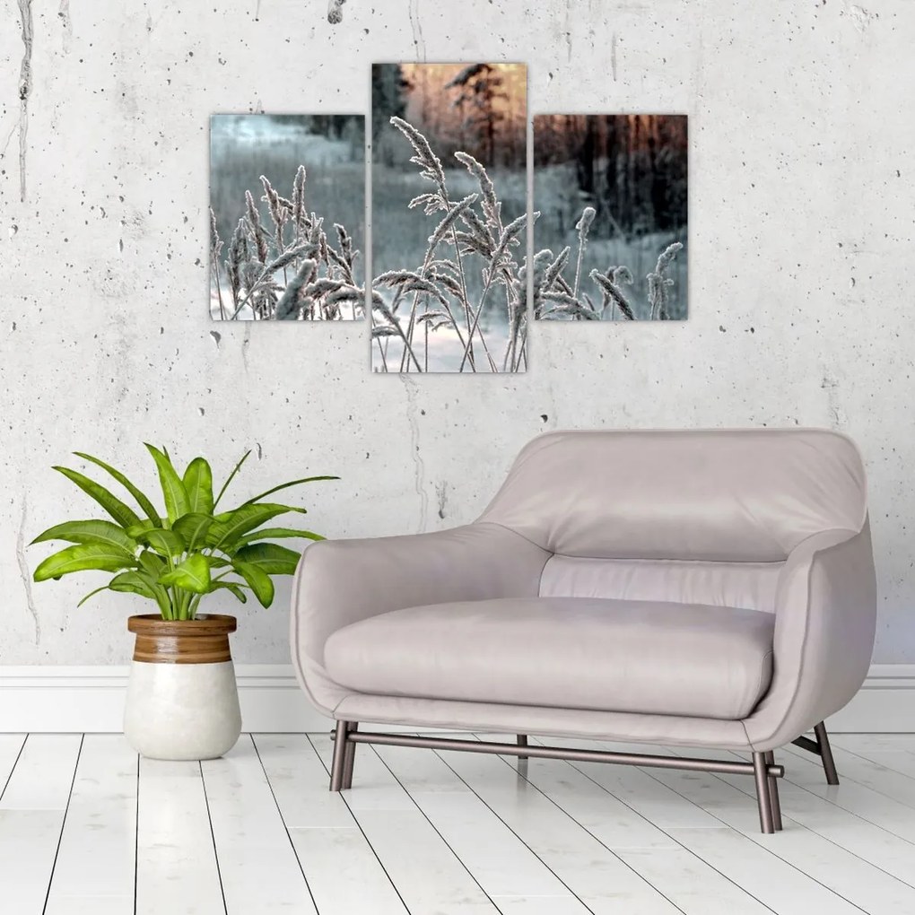 Kép - Fagyott rét (90x60 cm)